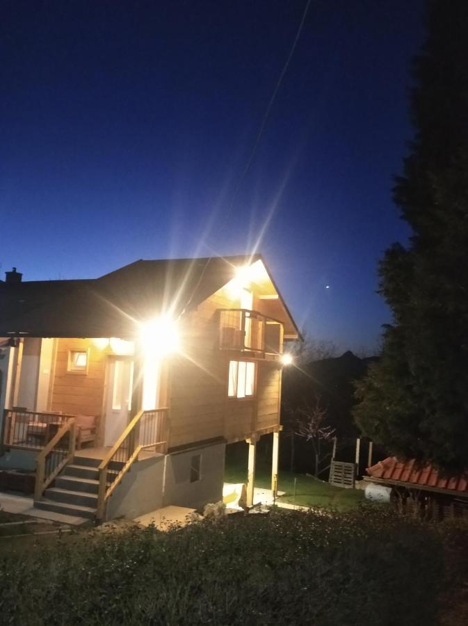 Apartman Civovic Rudnik Bagian luar foto
