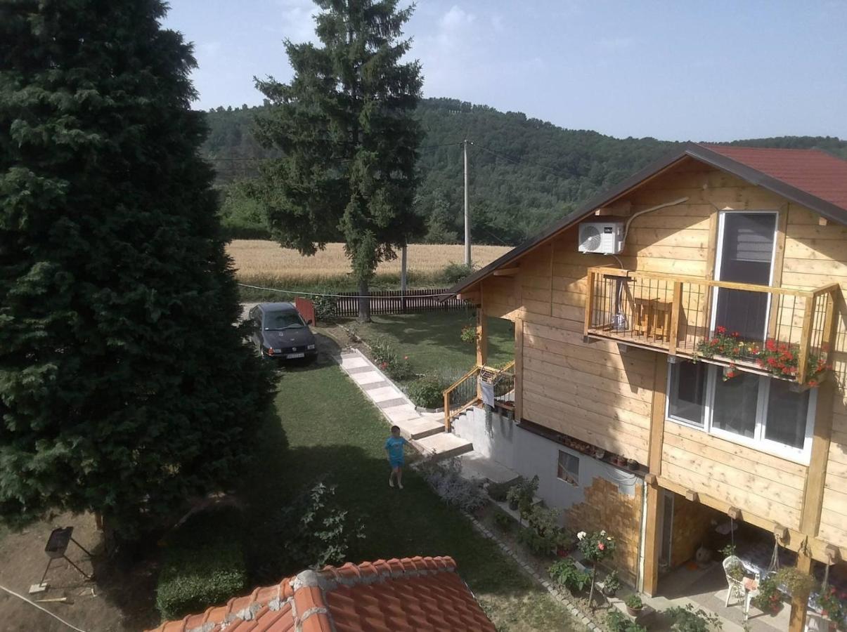 Apartman Civovic Rudnik Bagian luar foto
