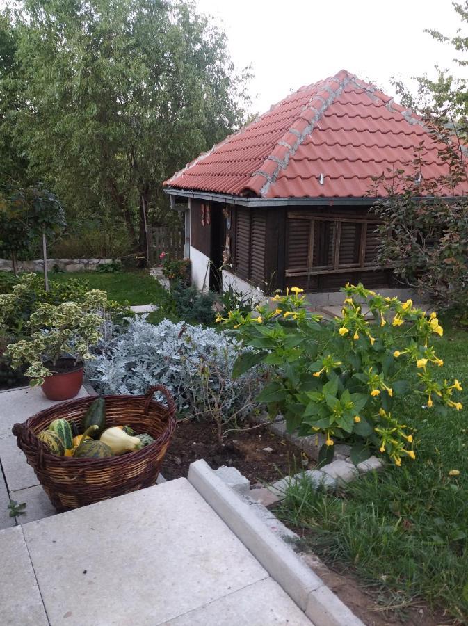 Apartman Civovic Rudnik Bagian luar foto