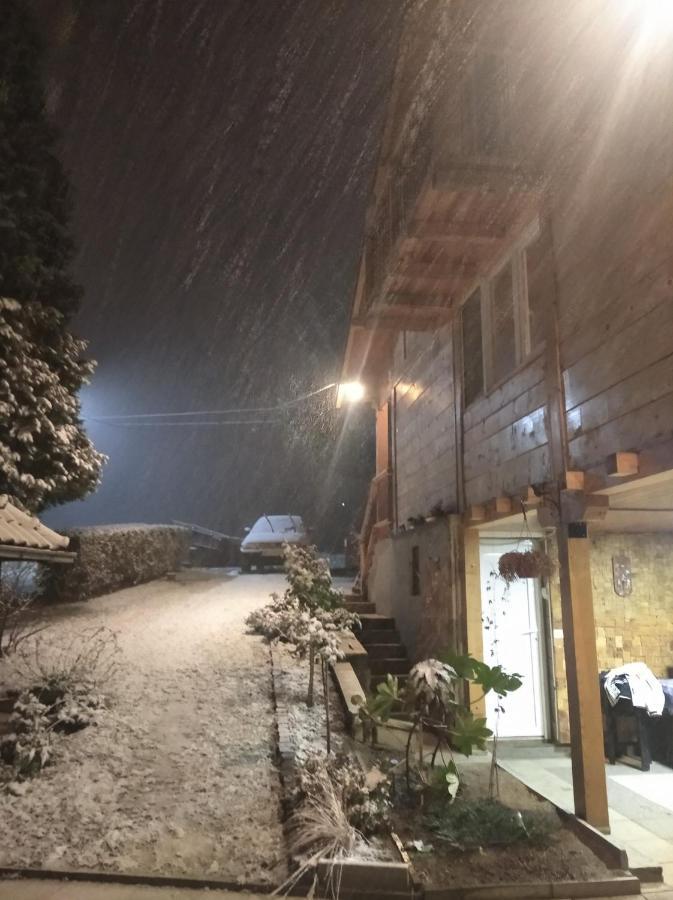Apartman Civovic Rudnik Bagian luar foto