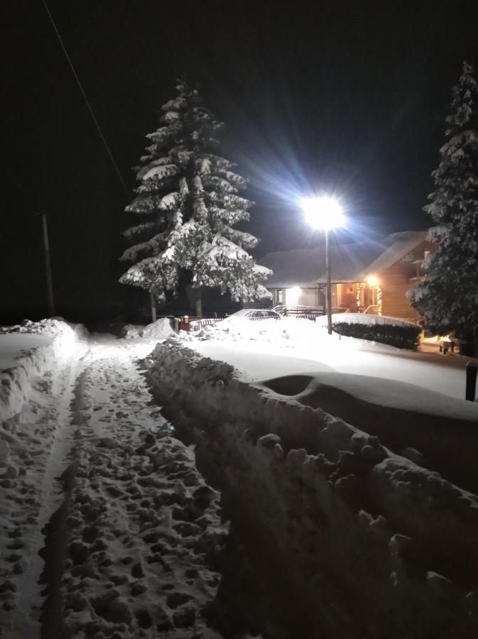 Apartman Civovic Rudnik Bagian luar foto