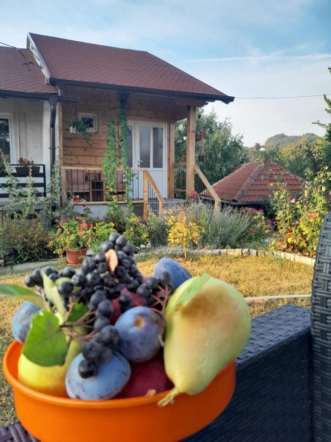 Apartman Civovic Rudnik Bagian luar foto